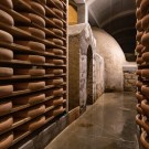 Comté Marcel Petite 
